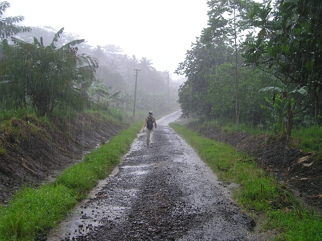 倾盆大雨 雨季 萨摩亚 - 上的免费照片