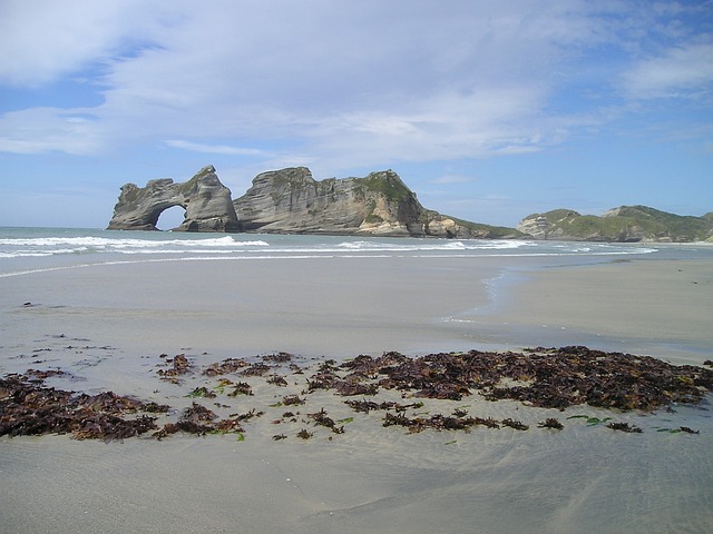 新西兰 石门 门 - 上的免费照片