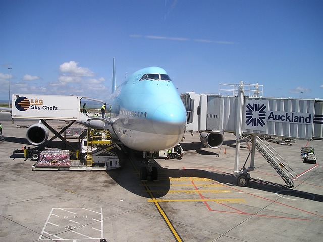 新西兰 韩国 大韩航空 - 上的免费照片