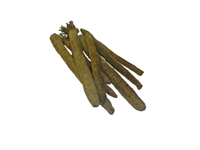 黑色婆罗门参 根 - 上的免费照片