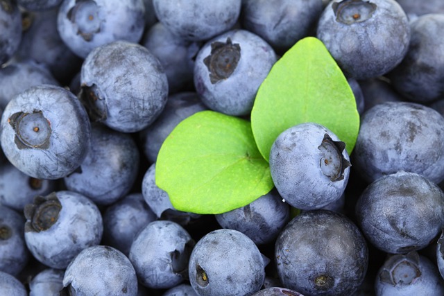 浆果 蓝莓 新鲜浆果 - 上的免费照片