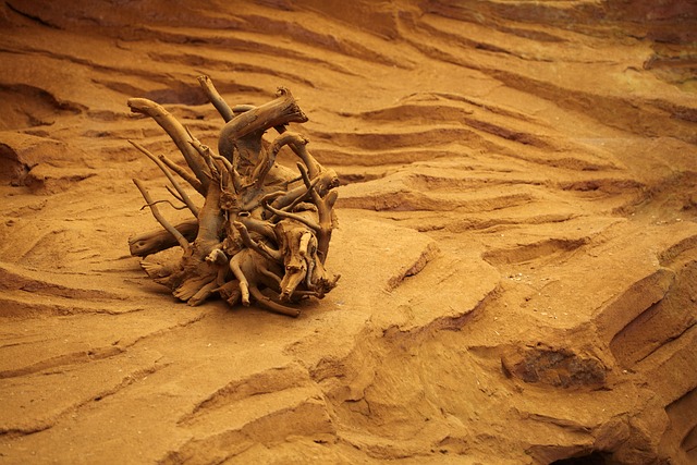 死的 沙漠 干旱 - 上的免费照片