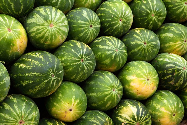 西瓜 水果 生产 - 上的免费照片