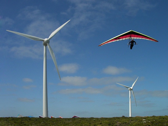 风 风筝传单 飞行 - 上的免费照片