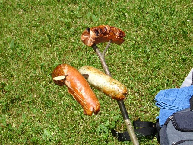 烧烤 烤香肠 香肠 - 上的免费照片