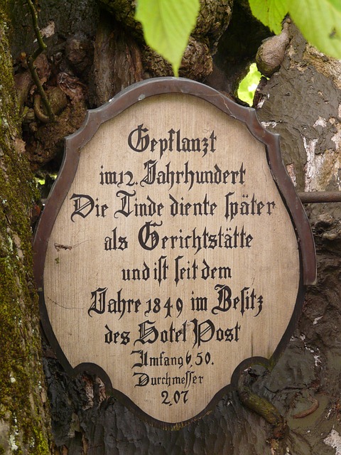 法院 菩提树 海利根贝格 - 上的免费照片