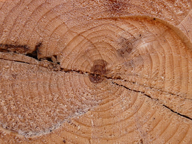 部落 树干 粮食 - 上的免费照片