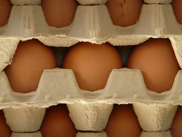 蛋 蛋盒 食物 - 上的免费照片