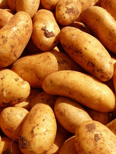 土豆 蔬菜 根茎类蔬菜 - 上的免费照片