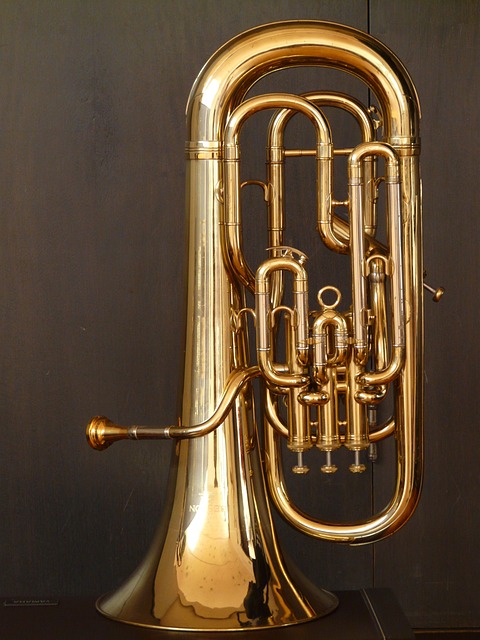 中低音号 喇叭 铜管乐器 - 上的免费照片