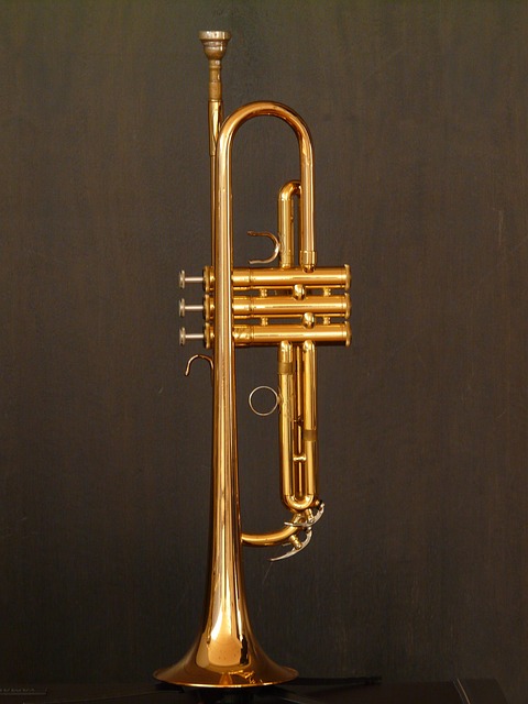 喇叭 铜管乐器 仪器 - 上的免费照片