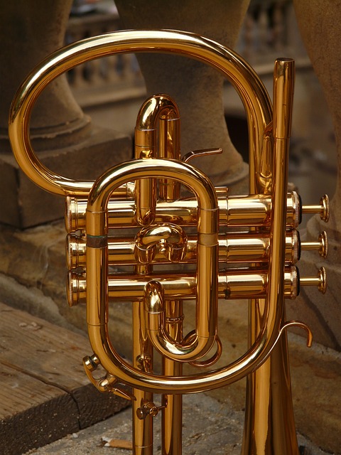 氟角 铜管乐器 喇叭 - 上的免费照片