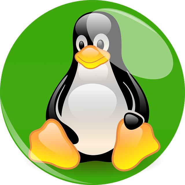 企鹅 Linux 吉祥物 - 上的免费图片