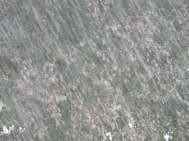 倾盆大雨 花洒 雨 - 上的免费照片