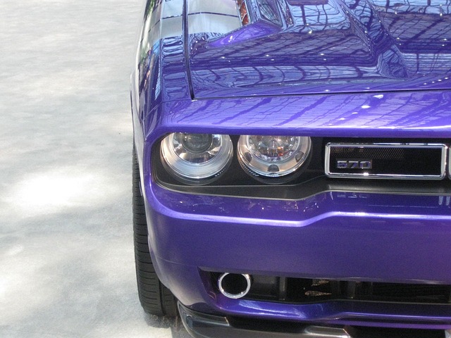 躲闪 挑战者 眼睛 - 上的免费照片