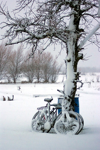 自行车 雪 冬天 - 上的免费照片