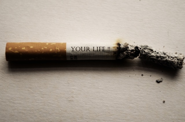 您的 生活 香烟 - 上的免费照片