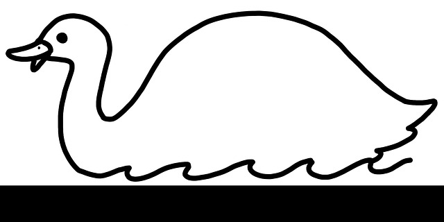 鸭 小鸭子 水禽 - 上的免费图片