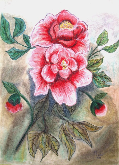 牡丹 花 绘画 - 上的免费图片