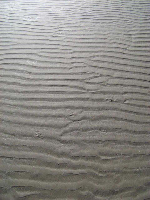 沙 海滨 海岸 - 上的免费照片