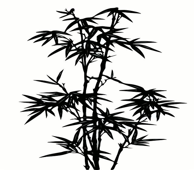 竹子 植物 黑色的 - 免费矢量图形