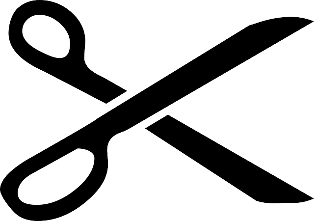 剪刀 剪 切 - 免费矢量图形