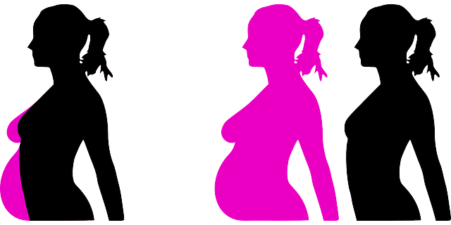 怀孕 孕 母性 - 免费矢量图形