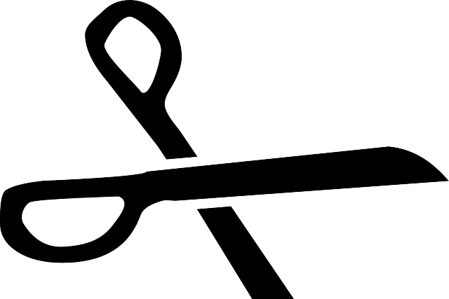 剪刀 黑色的 切割 - 免费矢量图形