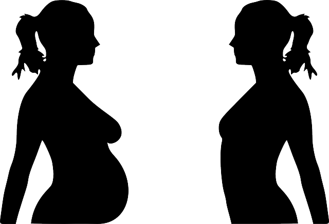 女士 孕 怀孕 - 免费矢量图形