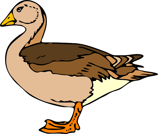 鸭 常设 棕色 - 免费矢量图形