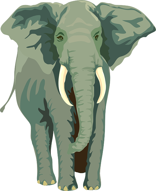 大象 动物 野生动物 - 免费矢量图形