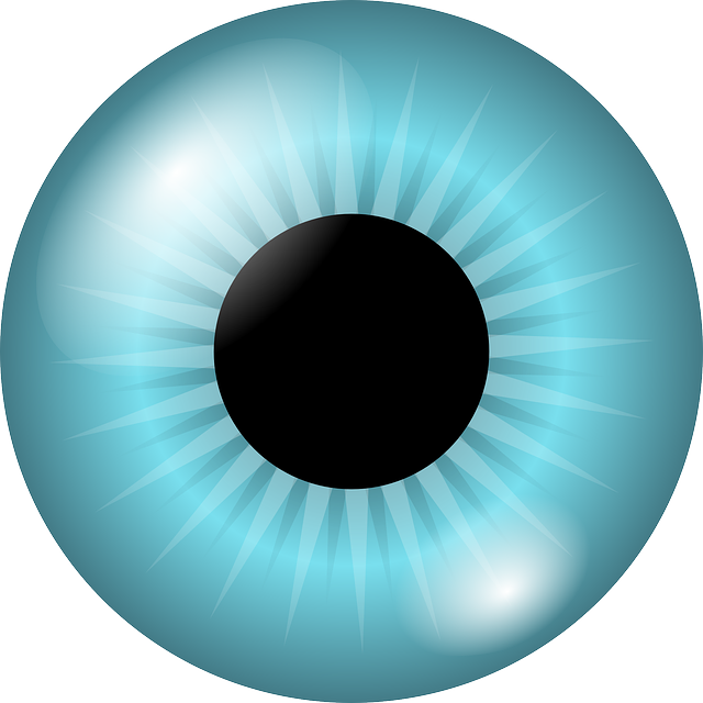 眼球 虹膜 瞳孔 - 免费矢量图形