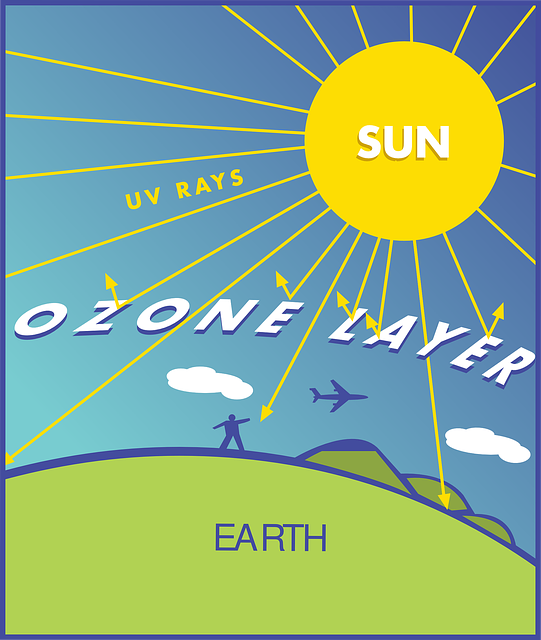 图表 地球 太阳 - 免费矢量图形