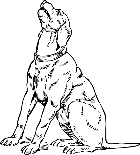 狗 犬类 嗥 - 免费矢量图形