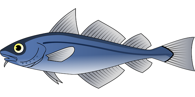 鱼 动物 海上生活 - 免费矢量图形