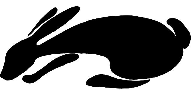 兔子 黑色的 轮廓 - 免费矢量图形