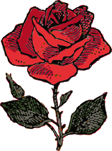红玫瑰 爱 罗莎 - 免费矢量图形