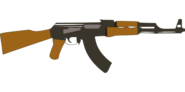 步枪 枪 武器 - 免费矢量图形