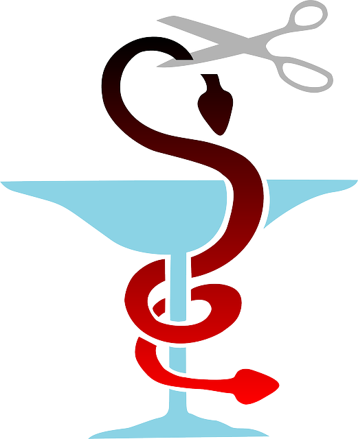 蛇 玻璃 - 免费矢量图形