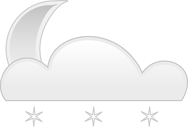 雪 降雪 冬夜 - 免费矢量图形