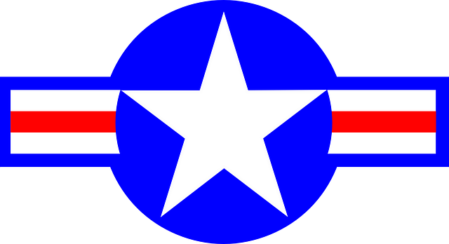 我们空军 美国空军 空军 - 免费矢量图形