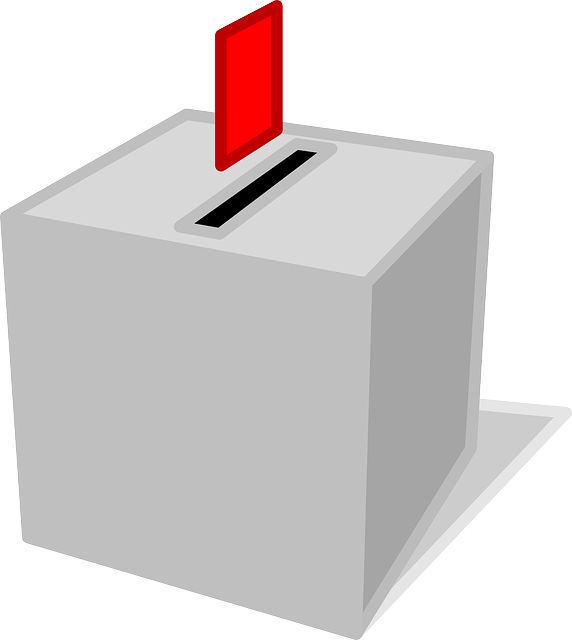 选票 盒子 投票 - 免费矢量图形