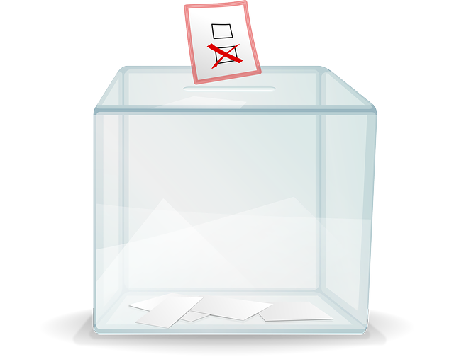 选票箱 盒子 轮询 - 免费矢量图形