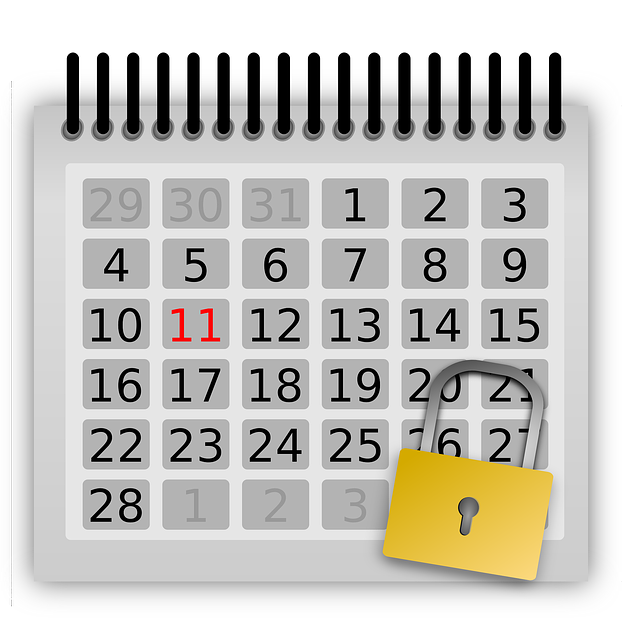 日历 天 锁定 - 免费矢量图形