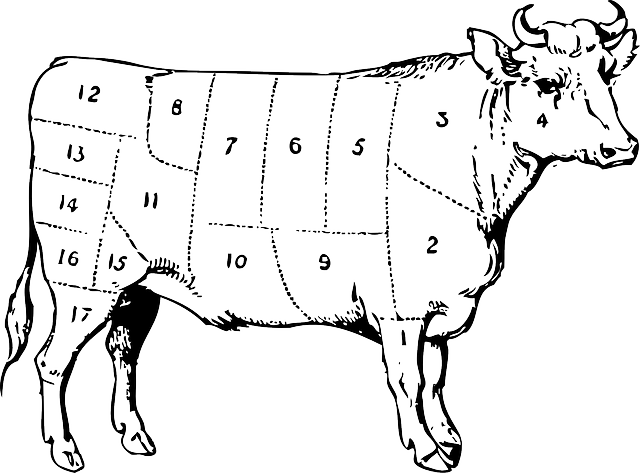 奶牛 牛肉 削减 - 免费矢量图形