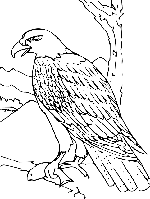 鹰 羽毛 翅膀 - 免费矢量图形