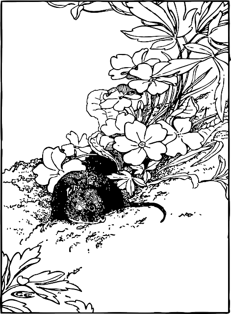 花朵 灌木 田鼠 - 免费矢量图形
