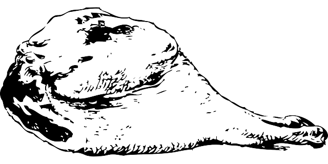 肉 腿 鸡 - 免费矢量图形