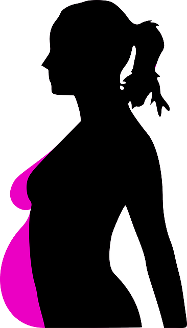 怀孕 女士 外形 - 免费矢量图形