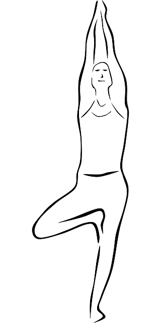 瑜伽 瑜伽姿势 树姿 - 免费矢量图形